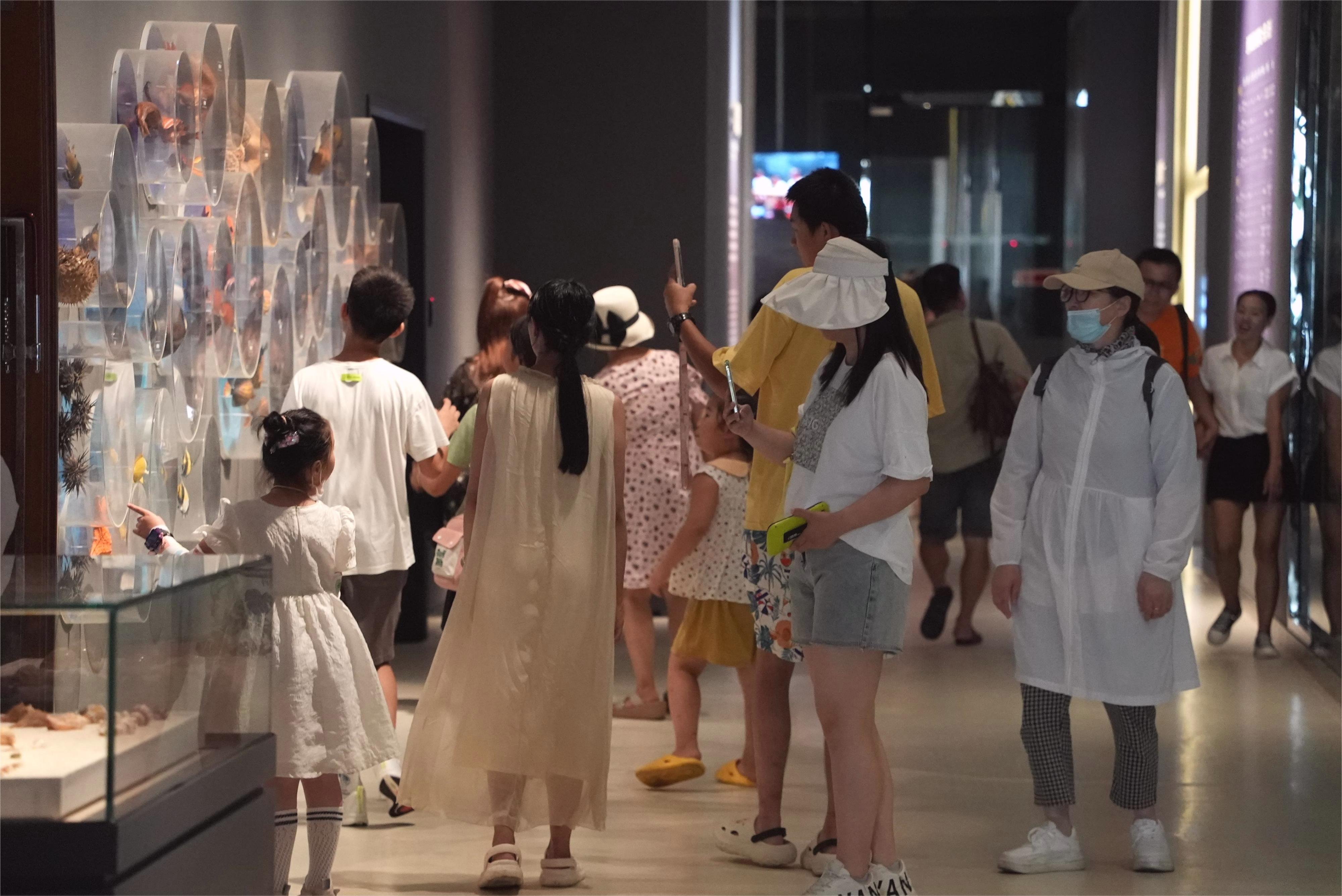 暑期琼博“热”力十足！海南省博物馆解锁不一样的暑期“打开方式”