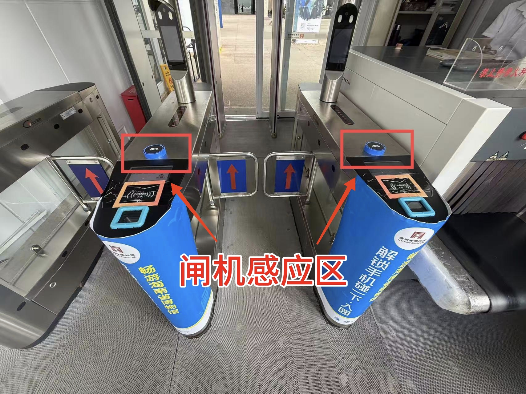 手机碰一下！快一步入馆！海南省博物馆×支付宝邀您解锁「碰一下·入馆」