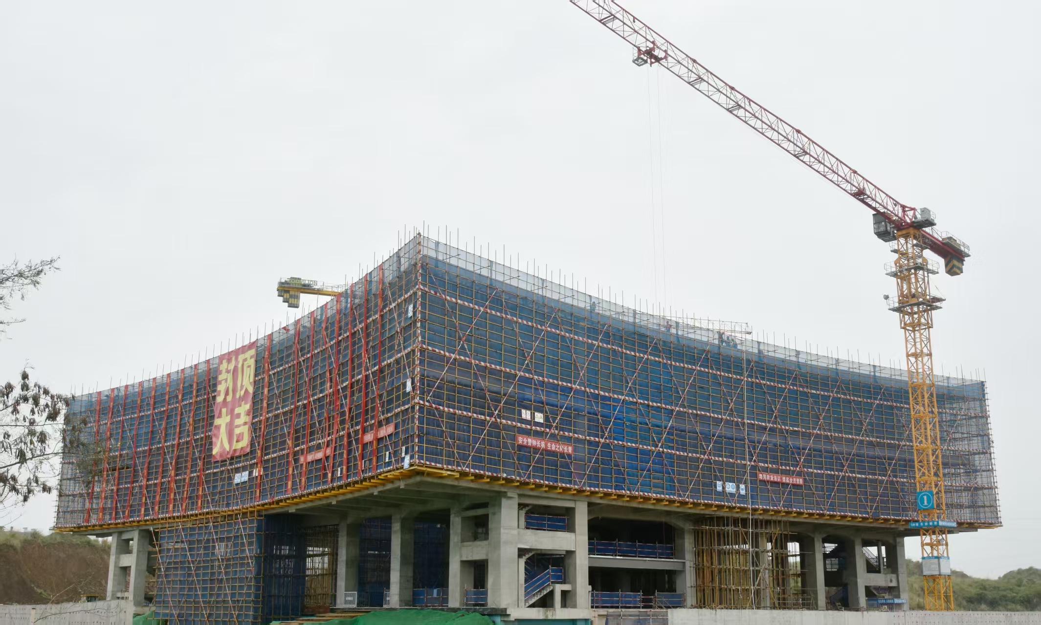 省旅文厅副厅长苏启雅调研海南省黄花梨沉香博物馆项目建设施工现场