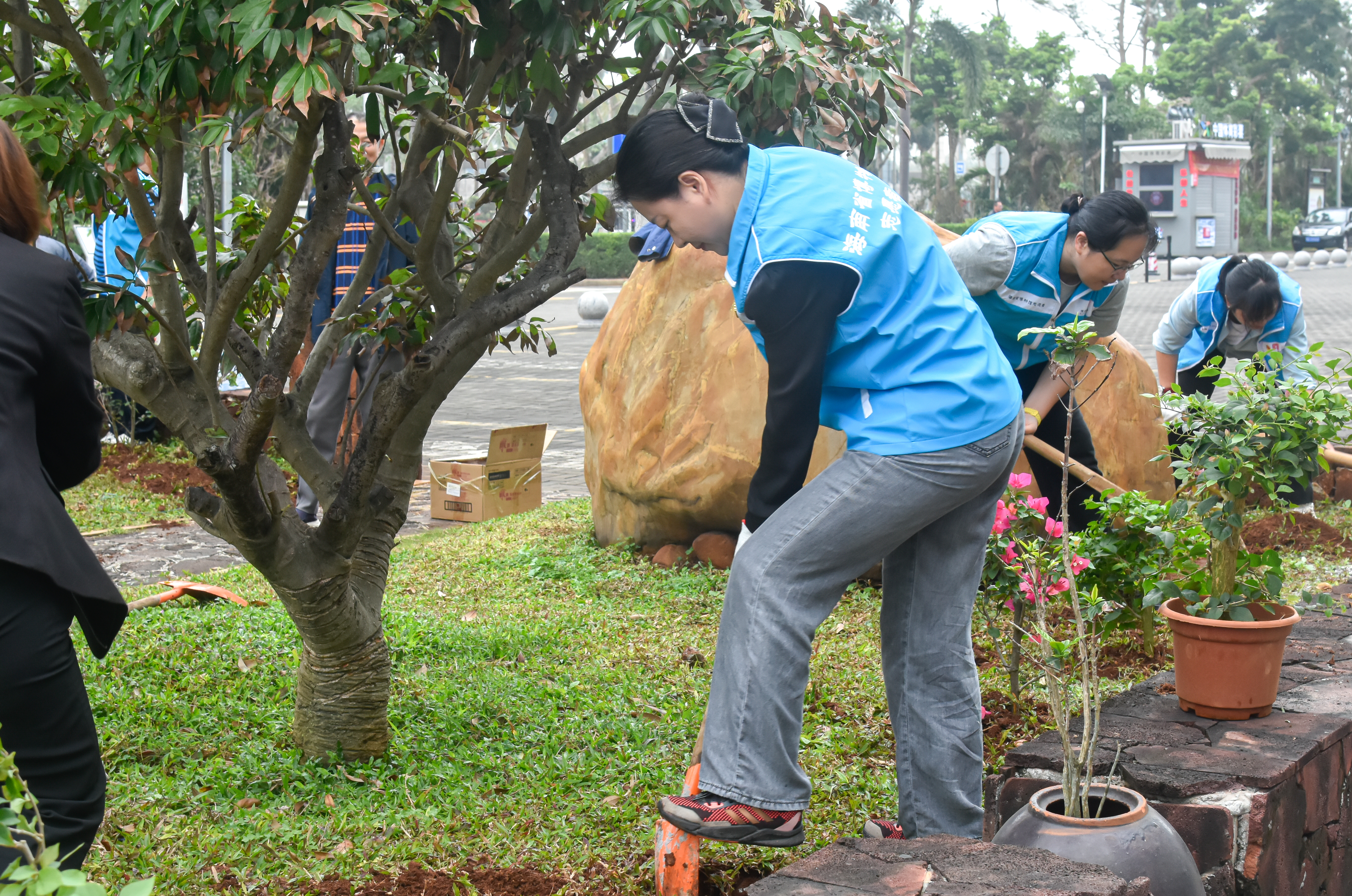 活动回顾 | “履行植树义务  共建美丽省博”植树节主题党日活动