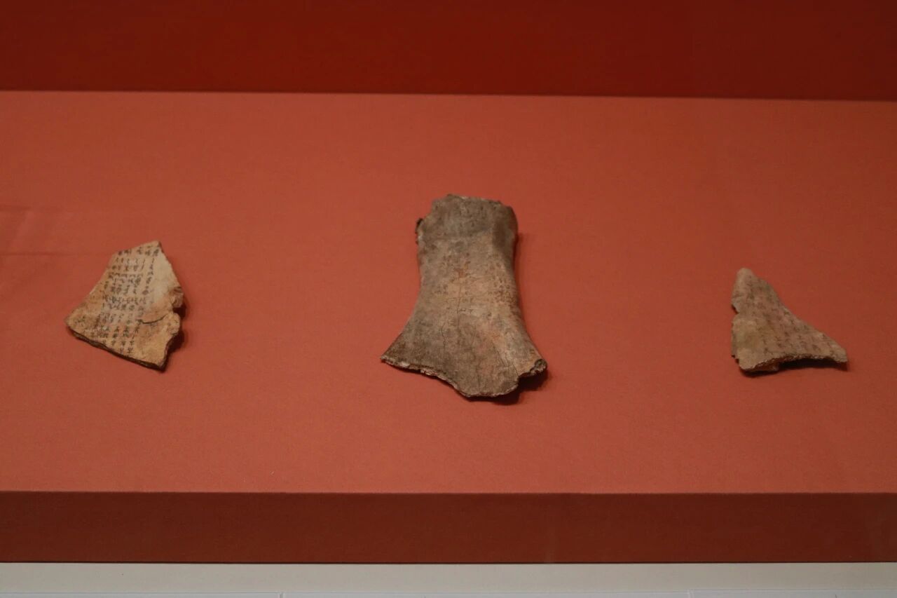 cefb1baae36342f94b6d595e2cc92bdb.jpg cefb1baae36342f94b6d595e2cc92bdb.jpg